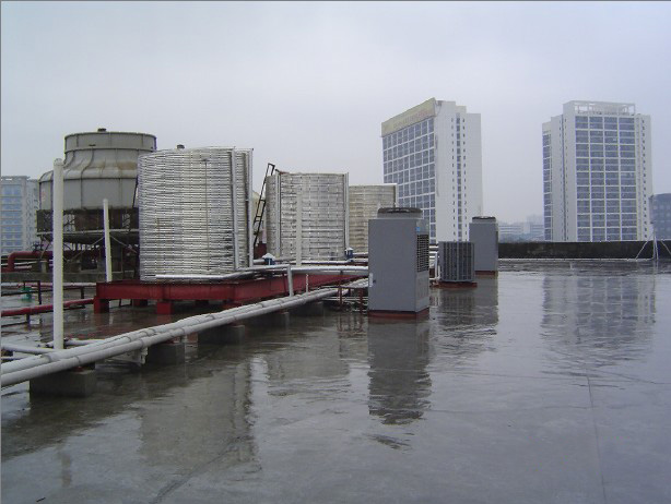 1734146022317286.jpg 20146912262893907491.jpg